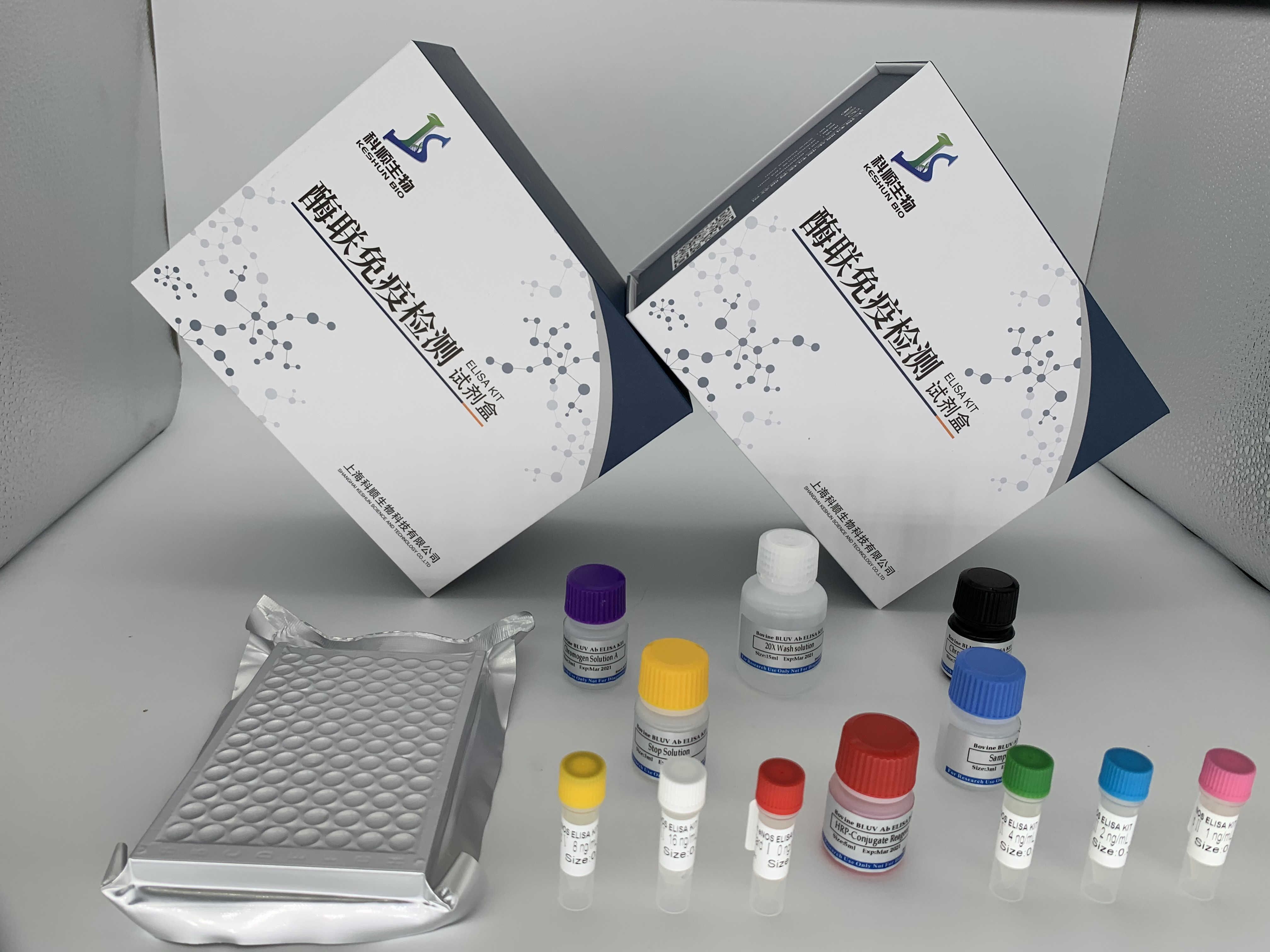 人腦微血管內皮細胞（BMEC）ELISA檢測試劑盒